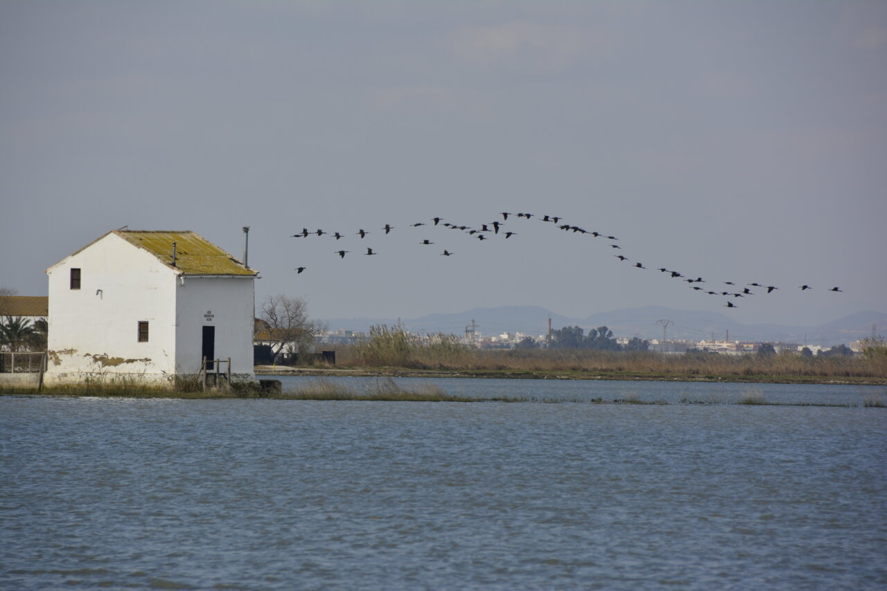 La Generalitat Valenciana trabaja en la recuperación de infraestructuras tras la DANA.
