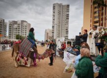 Sant Antoni de la Mar reúne a 2.400 personas y 301 caballos en La Pobla de Farnals Una mujer montando un burro decorado durante la celebración de Sant Antoni.
