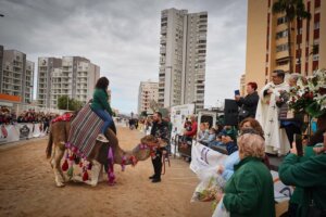 Una mujer montando un burro decorado durante la celebración de Sant Antoni.