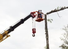 Trabajadores en una plataforma elevadora realizando tareas en altura