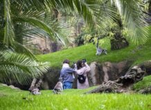 Visitantes observando lemures en Bioparc Valencia rodeados de vegetación