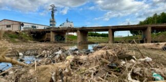 Puente sobre el barranco de Picassent con desechos y vegetación