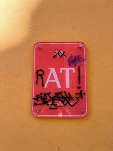 Cartel vandalizado con la palabra RAT en Valencia
