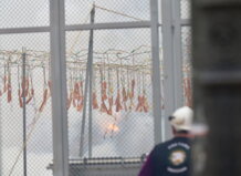 Disparo de la mascletà en la plaza del Ayuntamiento de Valencia