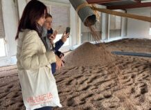 Periodistas explorando la Ruta de la Xufa en Alboraia