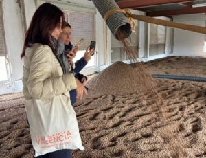 Periodistas explorando la Ruta de la Xufa en Alboraia