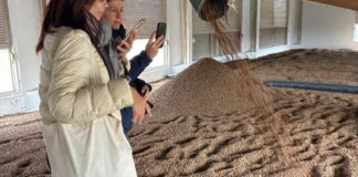 Periodistas explorando la Ruta de la Xufa en Alboraia