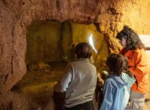 Visitantes observando a la cría de oricteropo en Bioparc Valencia
