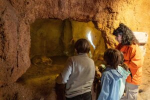 Visitantes observando a la cría de oricteropo en Bioparc Valencia