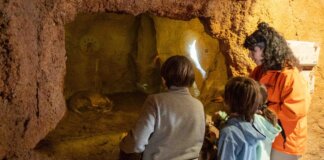 Visitantes observando a la cría de oricteropo en Bioparc Valencia