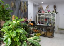 Interior de una tienda con plantas y flores decorativas