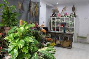 Interior de una tienda con plantas y flores decorativas