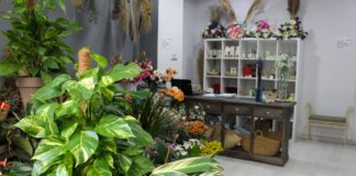 Interior de una tienda con plantas y flores decorativas