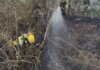 El Consorcio de Bomberos de Valencia logra controlar un incendio de cañar en Manises tras un rápido despliegue Bomberos trabajando para controlar un incendio en Manises
