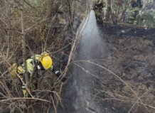 El Consorcio de Bomberos de Valencia logra controlar un incendio de cañar en Manises tras un rápido despliegue Bomberos trabajando para controlar un incendio en Manises