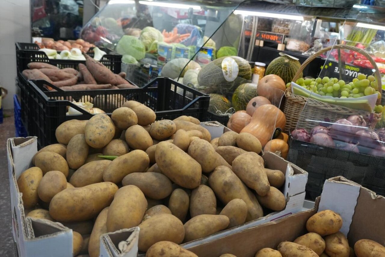 Vista de un comercio con diversas verduras y hortalizas frescas