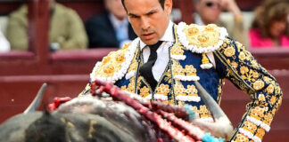 José María Manzanares en una corrida de toros en la Maestranza