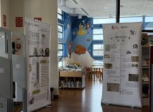 Exposición sobre la historia del libro en la biblioteca pública de Quart de Poblet