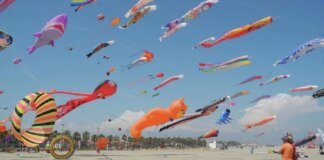 El XXV Festival de Cometas de València se celebrará en la playa del Cabanyal.