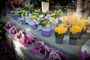 Puestos de flores en la Fiesta de la Primavera en Torrent