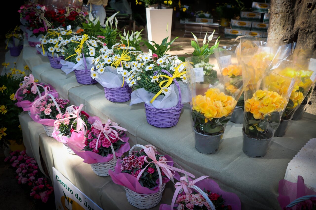 Puestos de flores en la Fiesta de la Primavera en Torrent