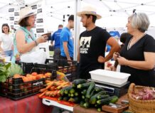Visitantes en la Fira Foios interactuando con productos locales y saludables