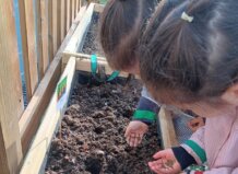 Niños sembrando semillas en el huerto escolar del colegio María Inmaculada.