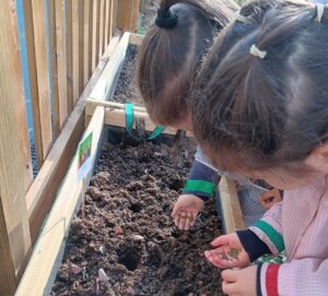 Niños sembrando semillas en el huerto escolar del colegio María Inmaculada.