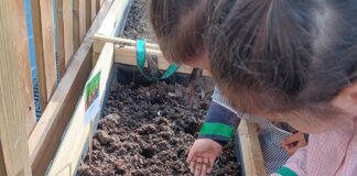 Niños sembrando semillas en el huerto escolar del colegio María Inmaculada.