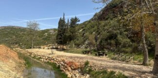 Zona natural restaurada con mesas y un arroyo en el entorno