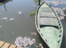 Botes en la Albufera con aguas residuales tras la DANA