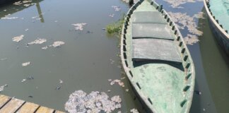 Botes en la Albufera con aguas residuales tras la DANA