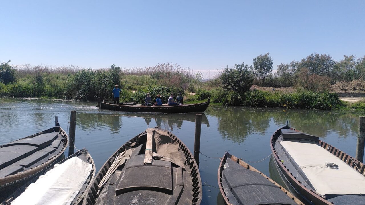 Vista de embarcaciones en la Albufera con vegetación y cielo azul