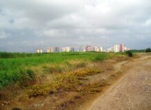 Vista de la marjal de Rafalell y Vistabella con edificios al fondo