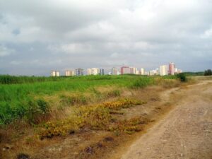Vista de la marjal de Rafalell y Vistabella con edificios al fondo