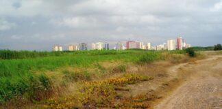 Vista de la marjal de Rafalell y Vistabella con edificios al fondo
