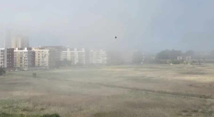 Vista de niebla densa cubriendo edificios en l'Horta Nord