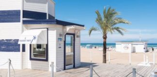 Oficina de información turística junto a la playa con palmera