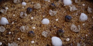 Paella extremeña con ingredientes innovadores y presentación creativa