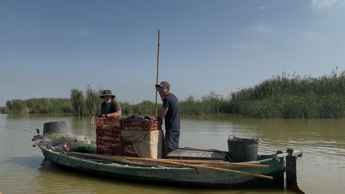 pesca albufera pesca albufera