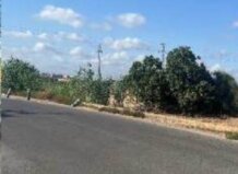 Camino rural en Picanya con vegetación y cielo despejado