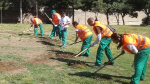 Grupo de personas trabajando en tareas de jardinería en un parque