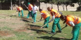 Grupo de personas trabajando en tareas de jardinería en un parque