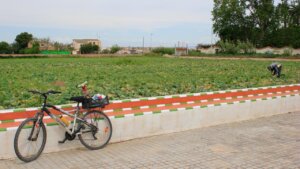 Campo agrícola con bicicleta y agricultor trabajando en la huerta