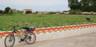 Campo agrícola con bicicleta y agricultor trabajando en la huerta