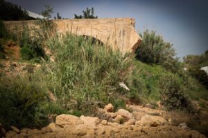 Vista del Arquet de Baix en Torrent, rodeado de vegetación