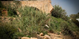 Vista del Arquet de Baix en Torrent, rodeado de vegetación