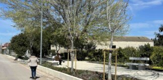 Jardín renovado en Massalfassar con árboles y bancos para descanso.