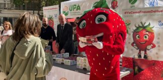 Evento de reparto de fresas de Huelva en Valencia con un personaje disfrazado.