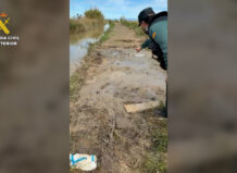 Agentes de la Guardia Civil rescatando a un hombre en lodo en Catarroja